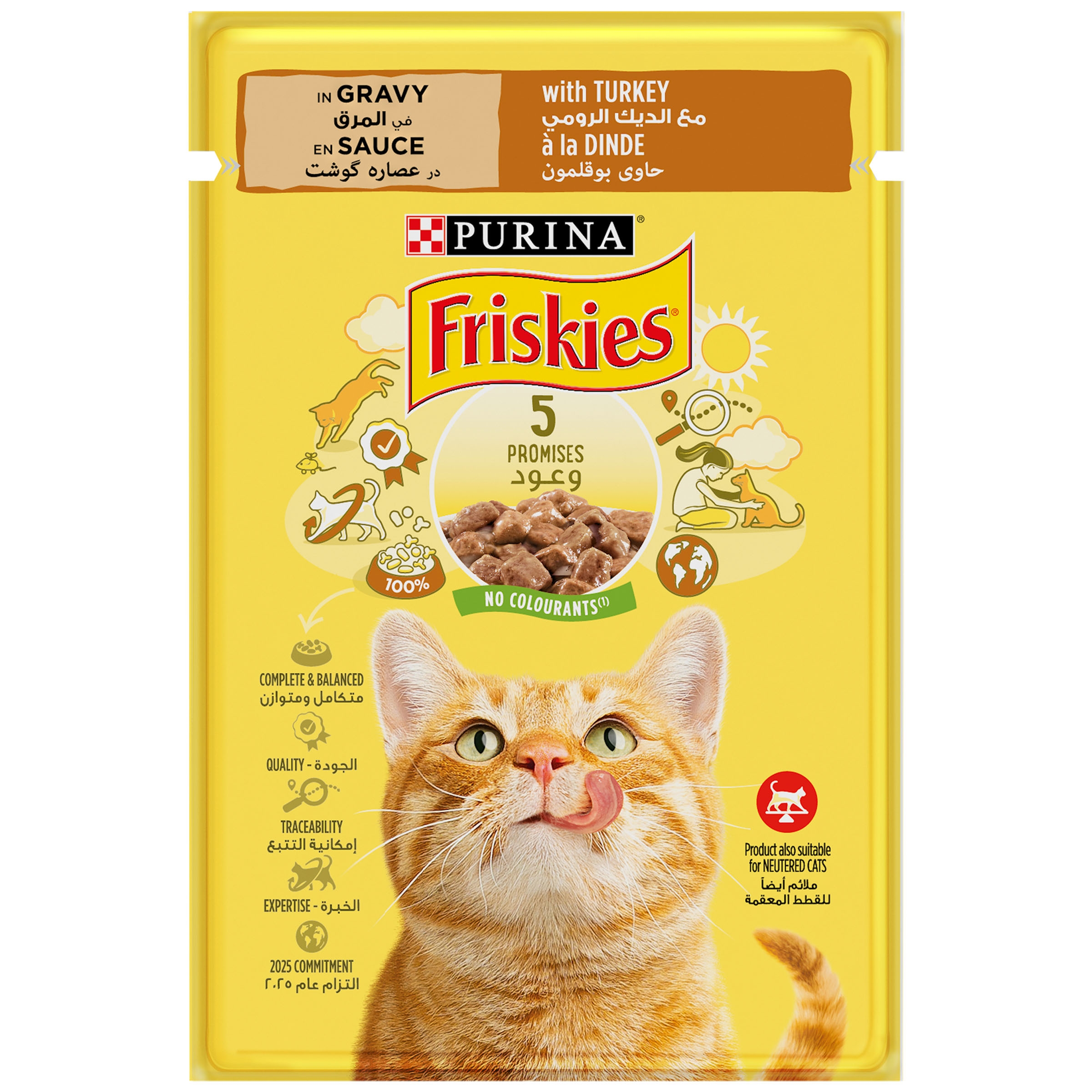 Friskies With Turkey In Gravy Purina